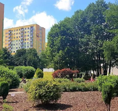 Stone Brook * Сопот